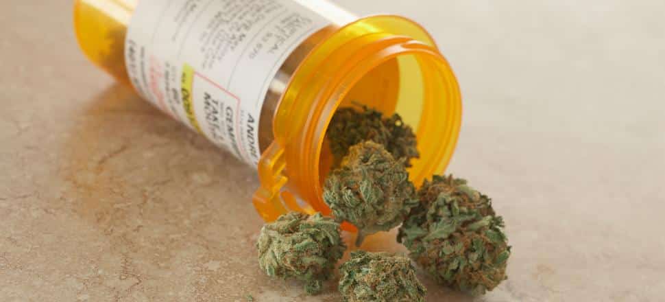 World-first medicinal cannabis trial for palliative care patients